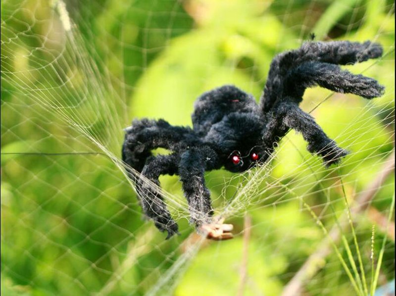 12251d01fefd8275e328d3295f297b54_no-ho-3304