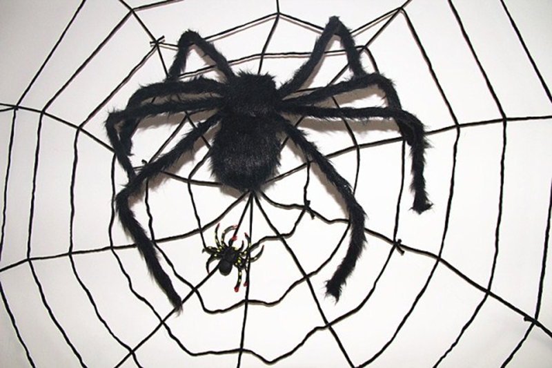 bb59f6a3a9308523bf44b0670835b7c5_no-ho-3301