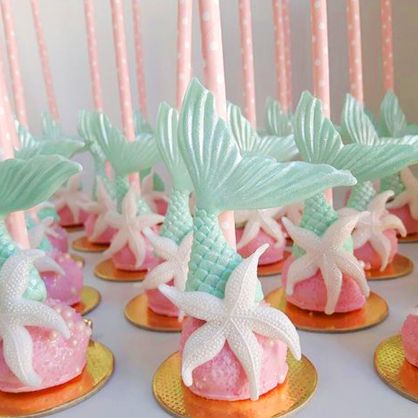 22e98881b075c564e15e964fea2a43cc_ck17b-P_02