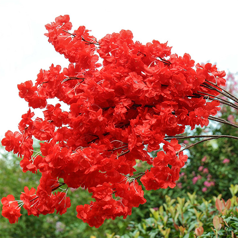 21795180564_194313705