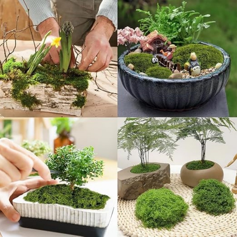 71TySm6c2vL._AC_SX522_