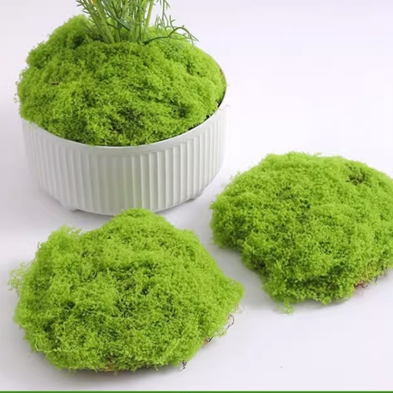 O1CN015rvDgg1LHXTD5PwK2_!!3848181274-0-cib