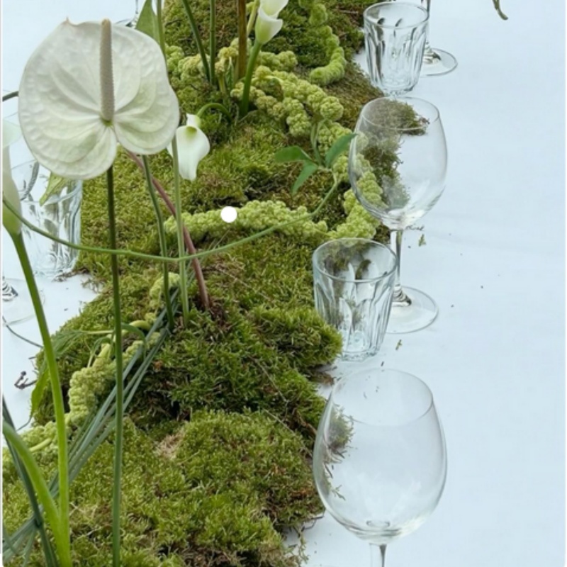 Screenshot 2025-03-28 at 12-44-26 Pin de Skye Houghton en Martini Party en 2025 Casamiento Ambientacion